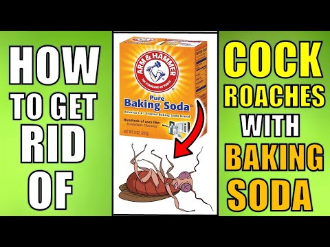 重曹を使ってゴキブリを駆除する方法