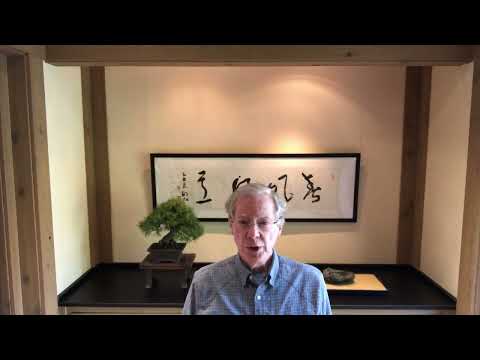 NBF Board Chair Felix Laughlin Wishes A Happy World Bonsai Day (2020)