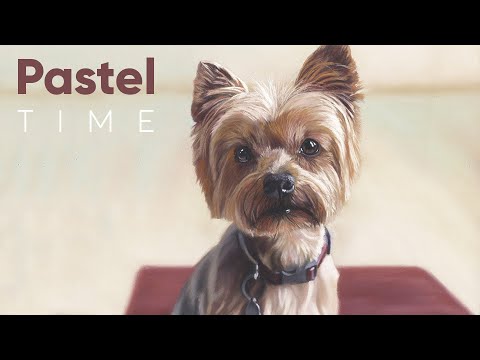 Yorkshire Terrier in Soft Pastel - Timelapse