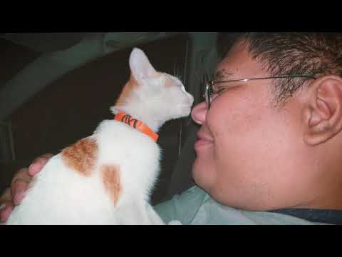 My Cat Licking My Nose