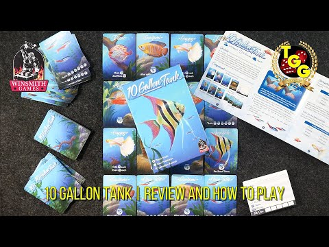 10 Gallon Tank | Review and How to Play