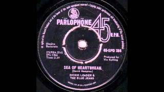 Sea of Heartbreak Music Video