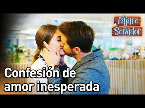 Confesión de amor inesperada | Pájaro soñador | (Audio Español) Erkenci Kus