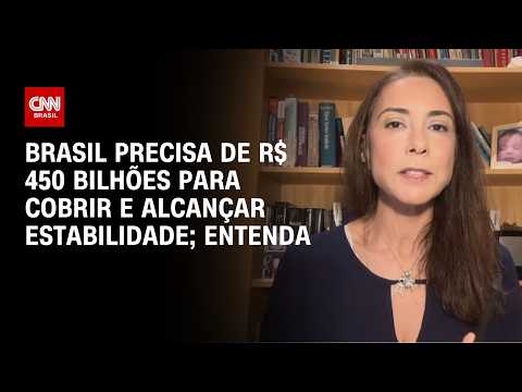Brasil precisa de R$ 450 bilhões para cobrir e alcançar estabilidade, diz pesquisadora | WW