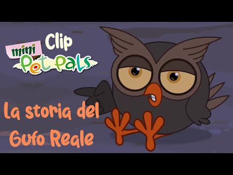 Mini Cuccioli: La Storia del Gufo Reale! Clip dei Mini Cuccioli in Inglese! Cartoni per bambini