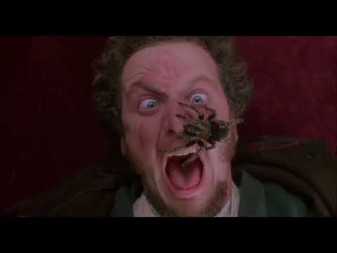 Home Alone (mamma ho perso l'aereo) ita: scena ragno