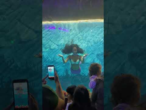 Lavínia no Aquário de São Paulo 🐟