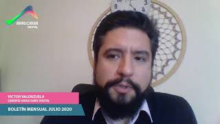 Boletín mensual Julio 2020 Araucanía Digital (Piloto)