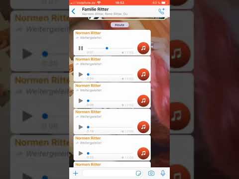 Familie Ritter Sprachnachrichten 2019