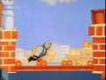 Pigeon Street Intro
