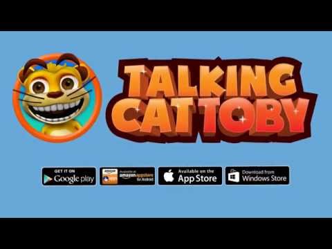 Talking Cat Video