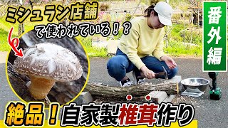 原木で作る絶品！自家製椎茸作り！