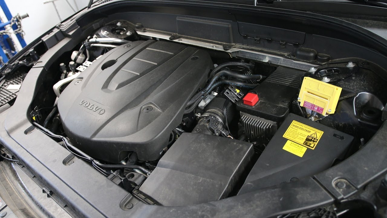 Kuny przegryzają przewody w samochodzie Zobacz metody ich odstraszania