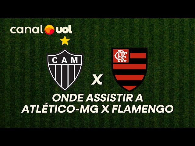 Transmissão ao vivo de Atlético-MG x Flamengo pelo Brasileirão: veja ...