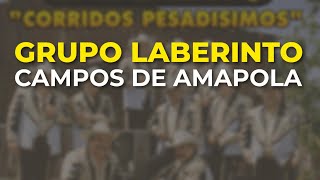 Grupo Laberinto - Campos de Amapola (Audio Oficial)