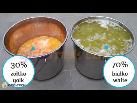 RZ-1 Yumurta Kırma Ayırma Makinesi - Egg Breaker