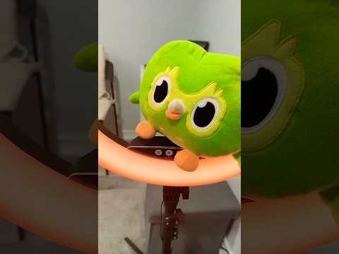 Viral Duo Owl IRL Chaos 🤣 Funny Moments vs Reality