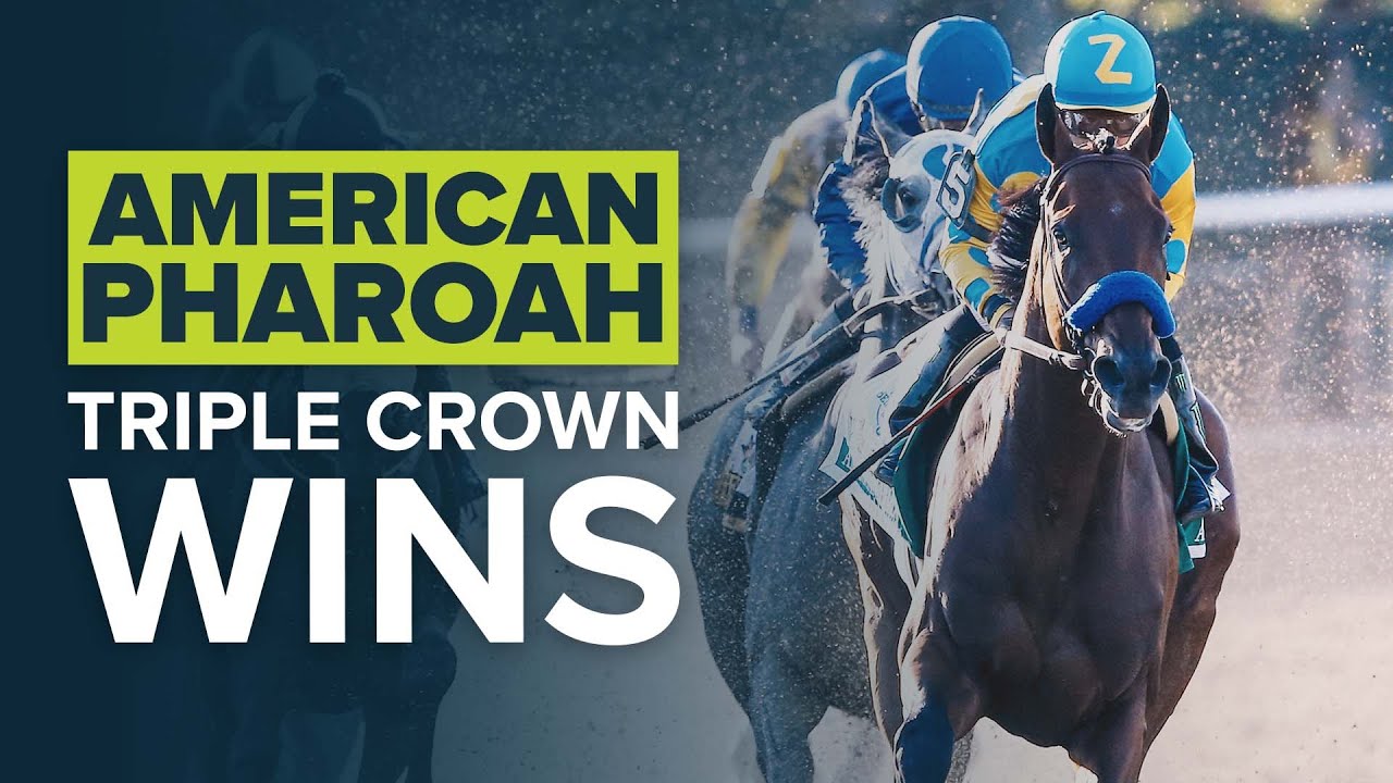 133/1 Arcangues Wins 1993 Breeders Cup Classic