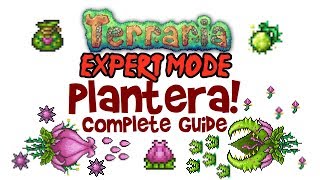 Terraria Plantera Guide, Expert Mode & Normal Too! (PC, Console and Mobile, 1.3 & 1.2)