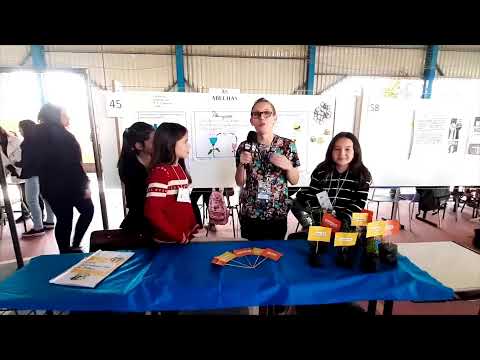 TVC CANAL 6 SÃO LEOPOLDO