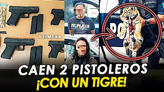 ¡BOMBAZO! Detienen a una pareja con armas, cartuchos, droga y hasta un tigre, en Querétaro.
