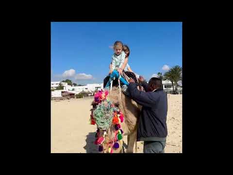 Camel ride in Hammamet