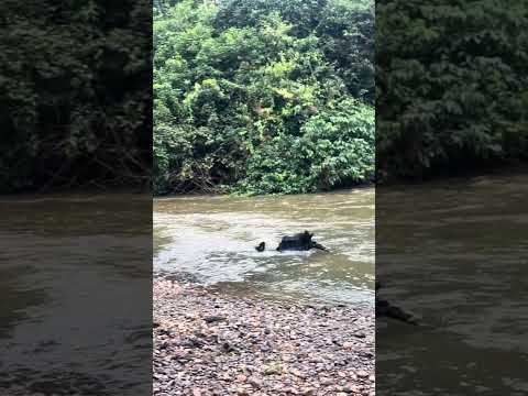 Belezas do PARÁ. Rio Uruara na cidade de Uruara-PA #acampamento #pesca #camping