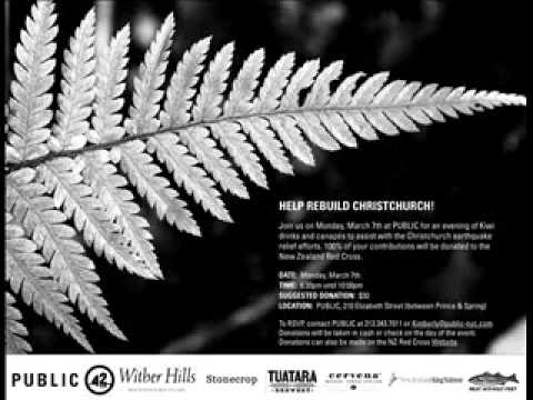 2011 THE YEAR OF NATURAL DISASTERS