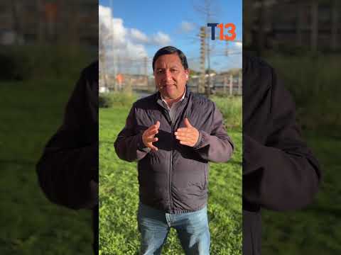 Grave denuncia en Tomé por destrucción de patrimonio natural