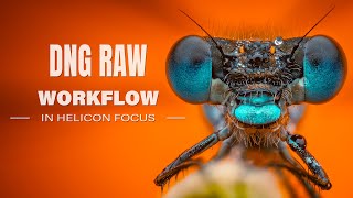 DNG RAW Workflow in Helicon Focus