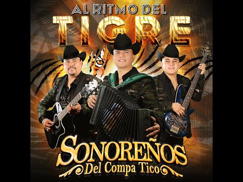 Al Ritmo Del Tigre - @Sonoreñosdelcompatico