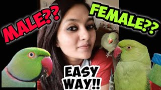How to Identify Male and Female Parrots || How to differentiate Parrot Gender || Talking Parrots