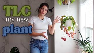 New Plant Care Routine (don’t make the same mistake I did)