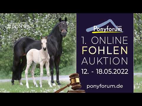 BUTTERBLUME Stute v. Mescal / St. Annens Henry N