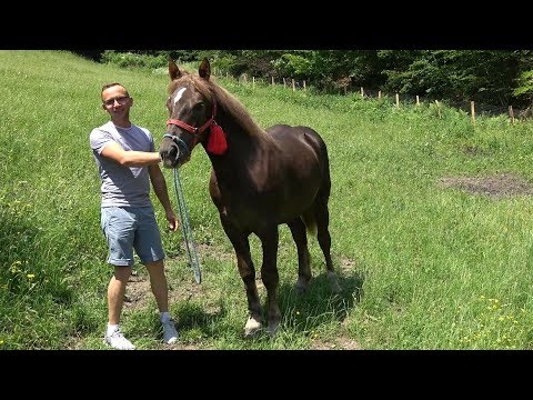 Cu Bogdan de la Somesu Rece, Cluj - Prin munti 2019 Nou !!!