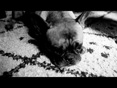 Jesse Harris - I'm Not On Your Mind