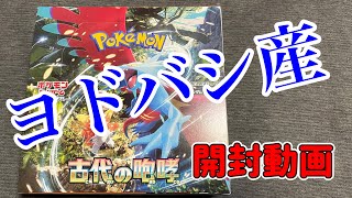 発売日当日！！古代の咆哮1箱開封動画【ポケカ開封動画】