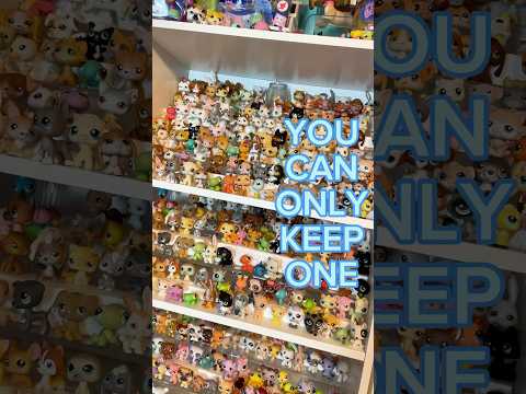 WHICH LPS WOULD YOU KEEP? Littlest Pet Shop Collection