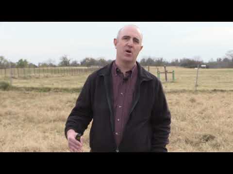 Jason Banta - Beef Cattle  Management - A Year on a Ranch - Breeding Season