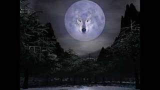 Winter&#39;s Wolves by The Sword