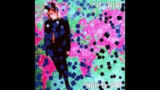 Kim Wilde - Megamix 1981-2018 (Non Singles and B Sides)