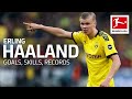 Best of Erling Haaland - Best Goals, Skills & Records