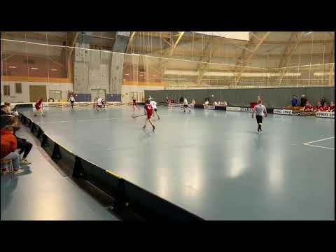 P18 SM-karsinnat Tiikerit - Pirkat White 22.8.2021