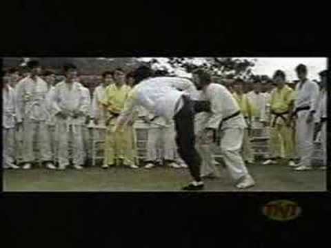 Bruce Lee Verarsche D