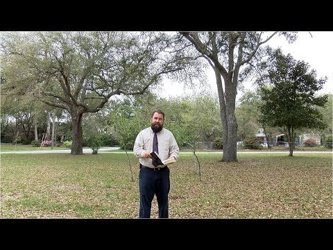The Fruit Of The Spirit video