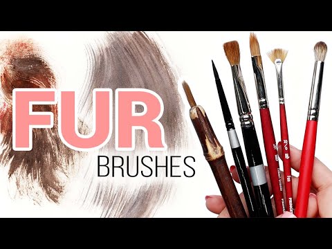 6 of the Best Watercolor Brushes for Painting FUR