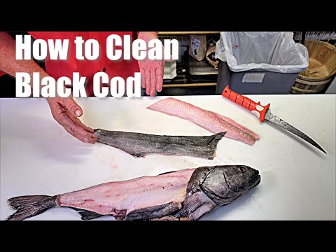 YouTube video about: Where to buy black cod fish near me?
