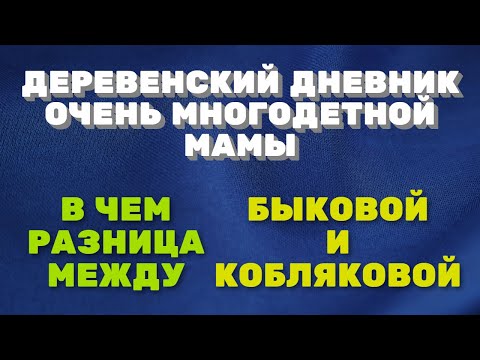 Деревенский дневник очень многодетной мамы. Мать героиня. В чем разница между Быковой и Кобляковой