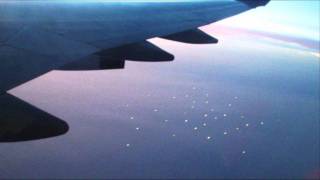 mono/poly - forest dark