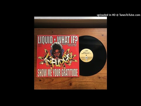 L-Fudge FT. Mike Zoot, Shabaam Sahdeeq, Skam2, Talib Kweli - What If? (DJ Spinna Instrumental)